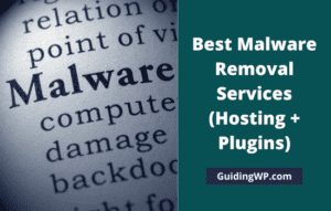 Best Malware Removal Services (Hosting + Plugins)